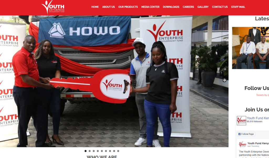 YEDF is a government corporation that has been operating since 2007 specifically to address youth unemployment. It offers both group and individual loan products, though the group products have better terms.